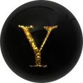 Black Onyx Initial Y