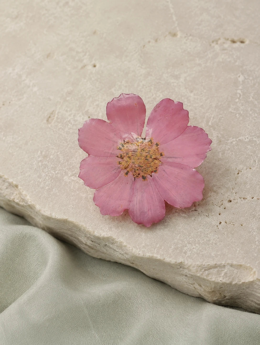 Gradient Pink Petal Ring — restrained editorial still life
