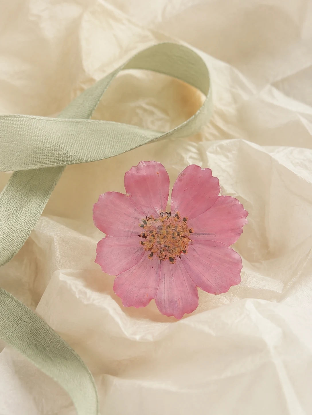 Gradient Pink Petal Ring — unbranded gift-context still life
