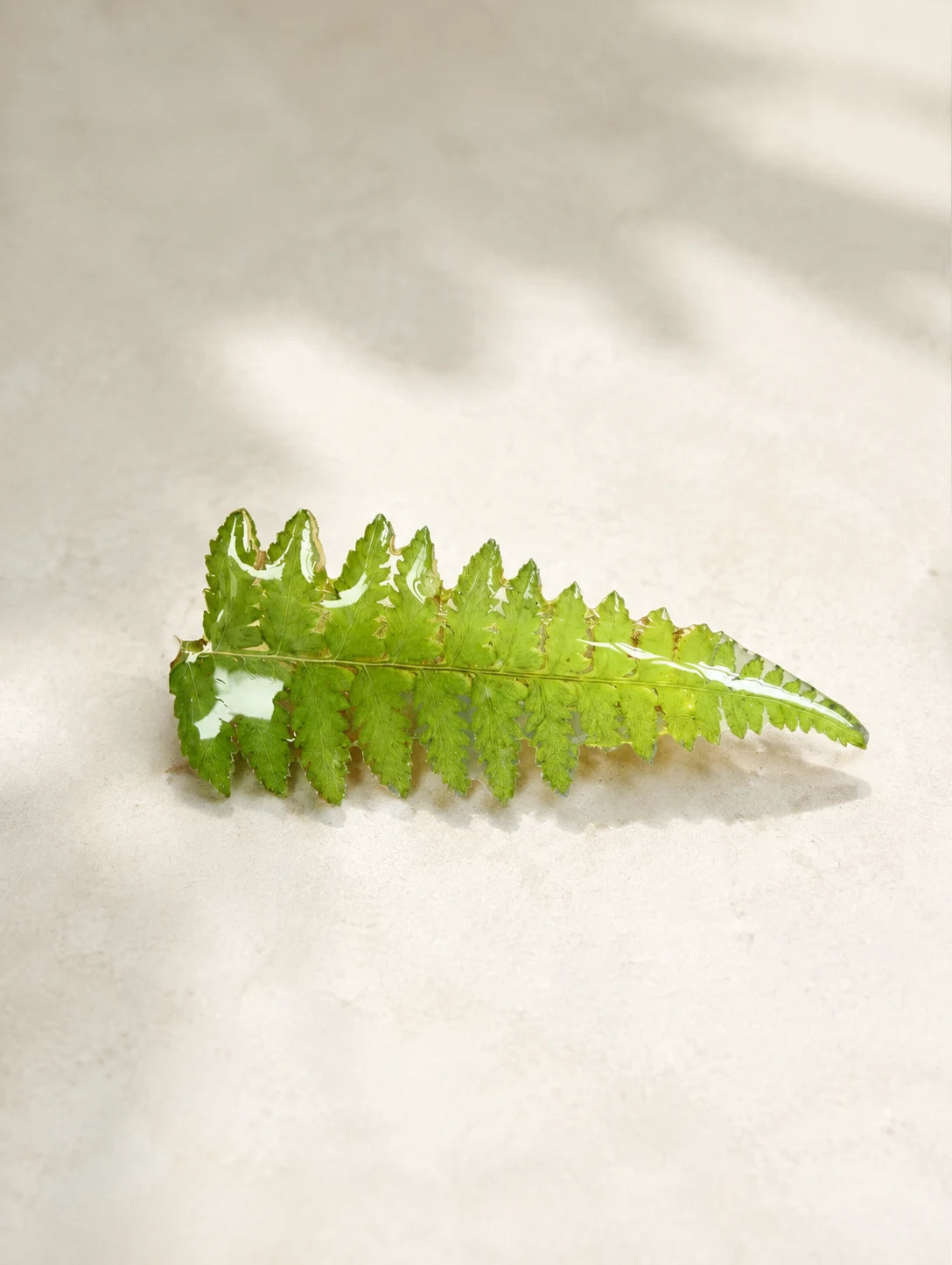 Green Frond Hair Clip — close detail view