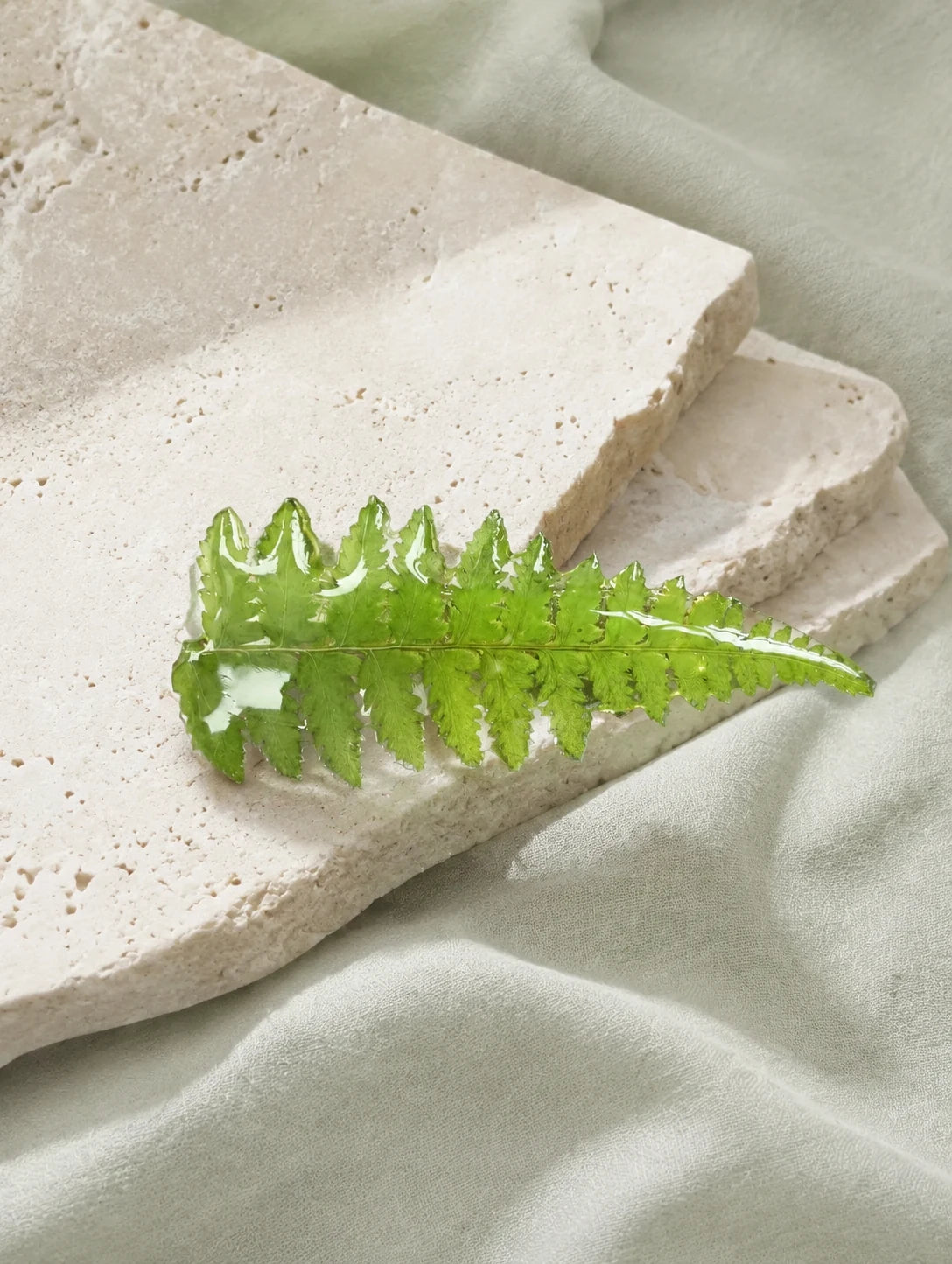 Green Frond Hair Clip — restrained editorial still life